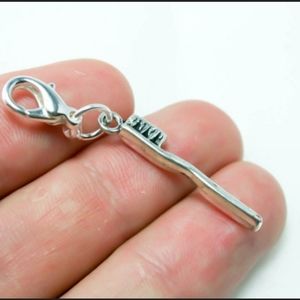 Clip On toothbrush charms clipon hygienist dentist dental bracelet pendant silve